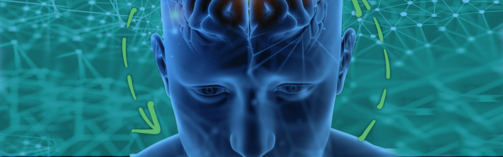 O que é Neuro Feedback